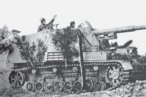 维捷布斯克vs斯莫尔根,维捷布斯克和格罗德诺