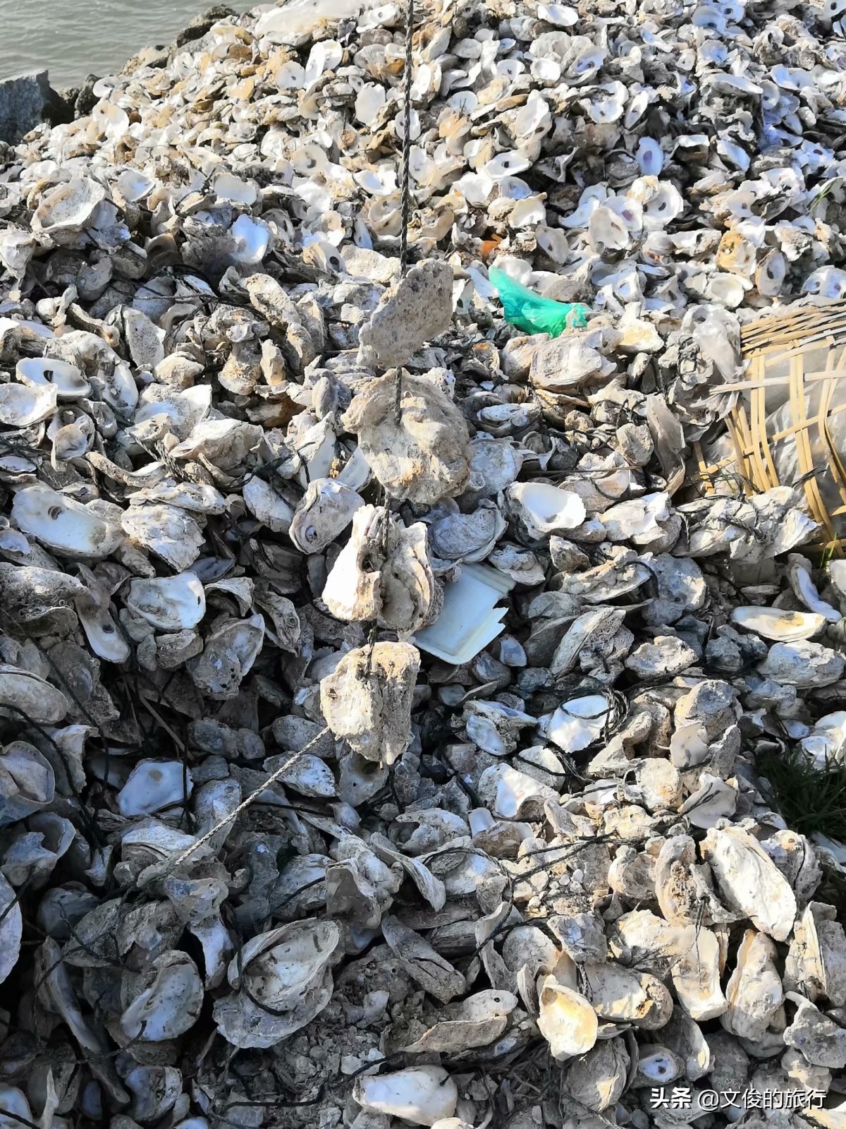 从防城港到东兴金滩需要多久时间,去防城港的簕山古渔村