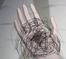 这里的毛毛千万别乱拔！谨慎会有生命危险