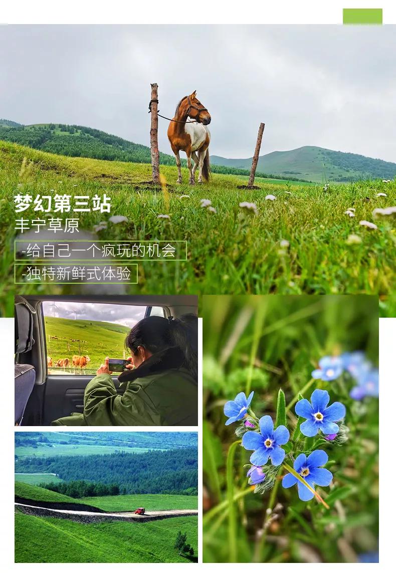 草原深度游坝上,草原秋季7日游