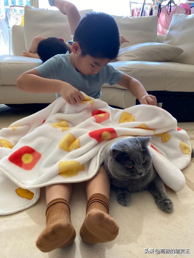 胡可晒小鱼儿垂涎猫粮，趴地上围观猫咪进食，网友提醒谨慎他偷吃