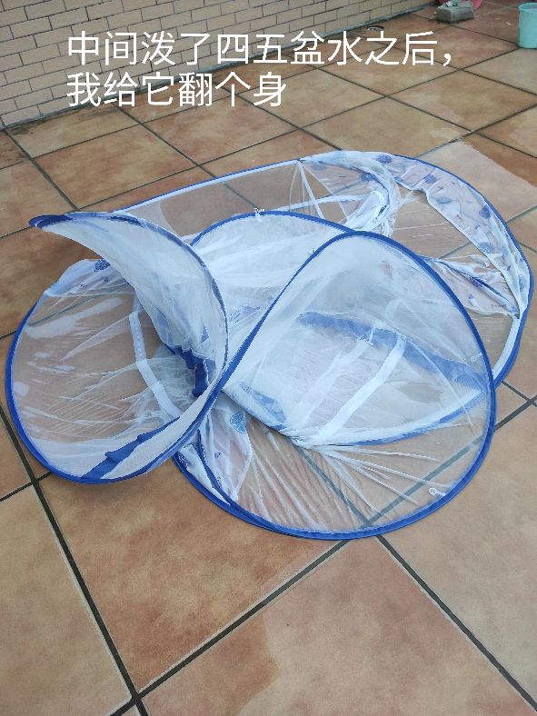 蒙古包蚊帐折叠和清洗,蒙古包蚊帐如何清洗晾晒