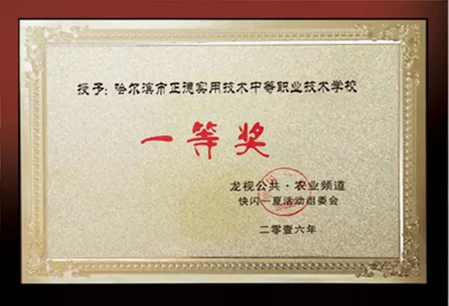 哈尔滨正德学校招初中生吗,哈尔滨正德技术学校招生