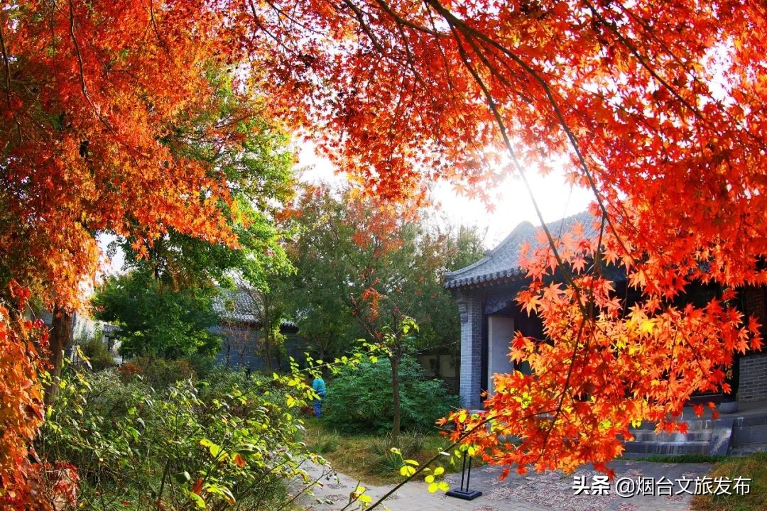 大自然打翻了调色板的唯美句子,烟台自然景点