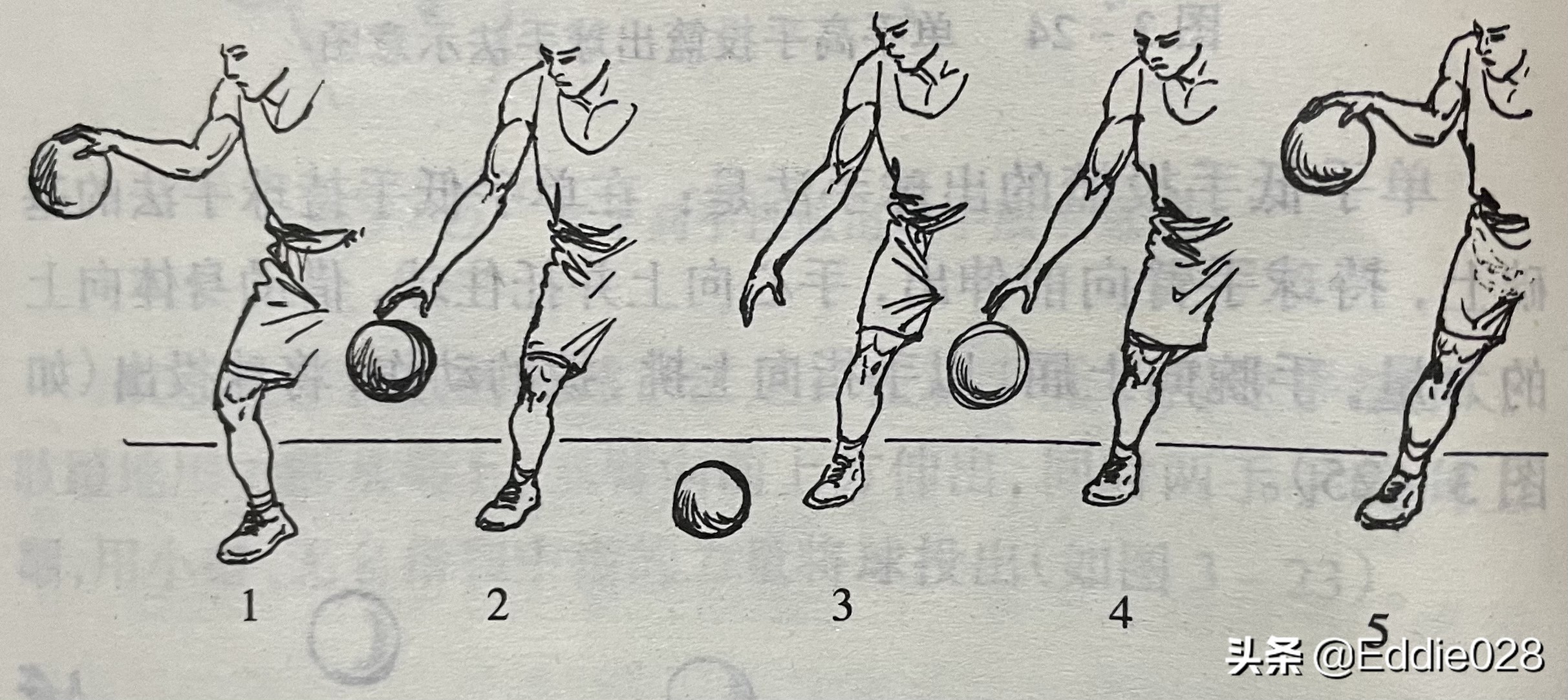 零基础篮球训练知识分享三（持球、传接球、投篮、运球）