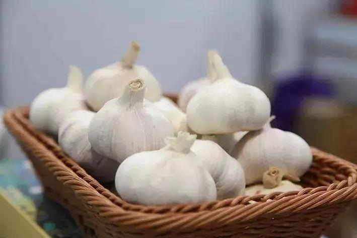 “蒜”你牛！竟治好了乾隆的痢疾症