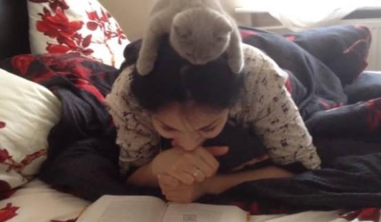 下班回家突然发现猫不见了,下班回家发现猫咪没精神