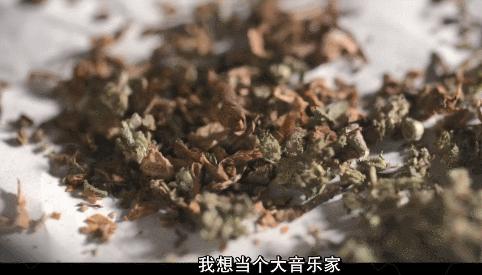 为了这部敏感剧，她差点把命丢了