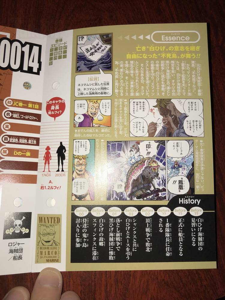 海贼王生命卡完整排名,海贼王生命卡信息
