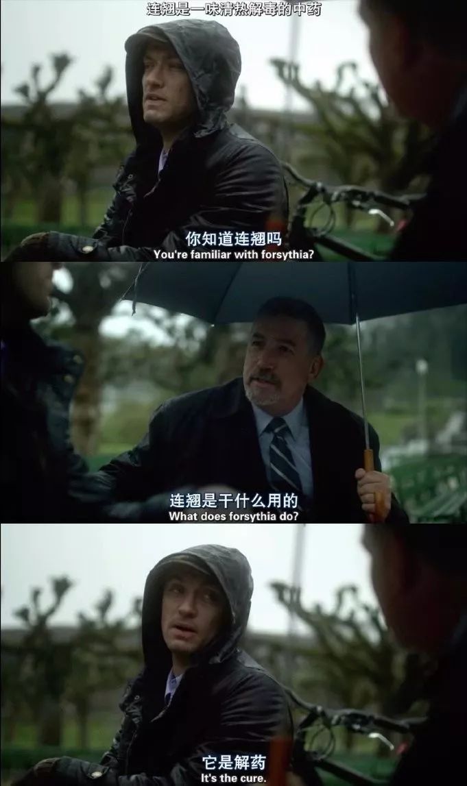 双黄连一夜脱销，这部电影里有人靠连翘赚450万美元