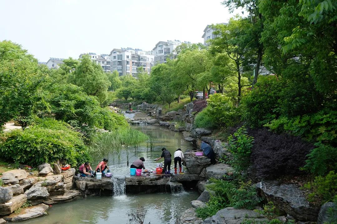 幸福村庄的密码,幸福林带中的幸福密码