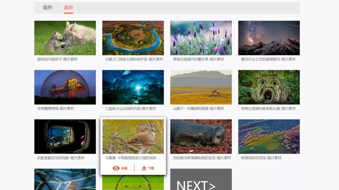 免费送100个ppt模板,免费ppt模板300套word