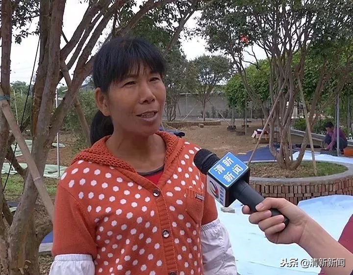 神奇！太平金门有种长在树干上的果子！