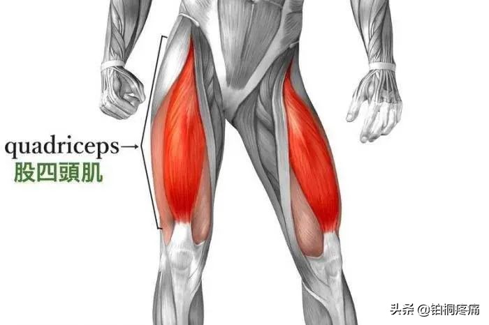 女人膝盖疼痛警惕四种病因,膝盖内侧疼痛的病因