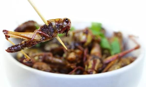 泰国人为什么喜欢吃酸苦辣的,泰国人真的吃虫子吗