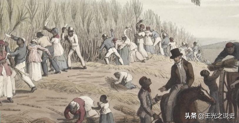 巴西踢球随心所欲,巴西除了踢球还会什么