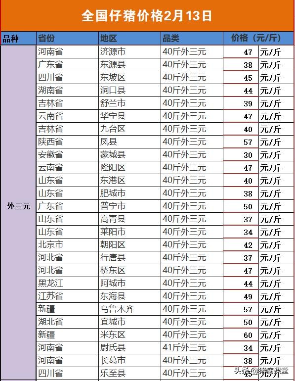 仔猪价格今日最新价格,仔猪今日价格全国猪价
