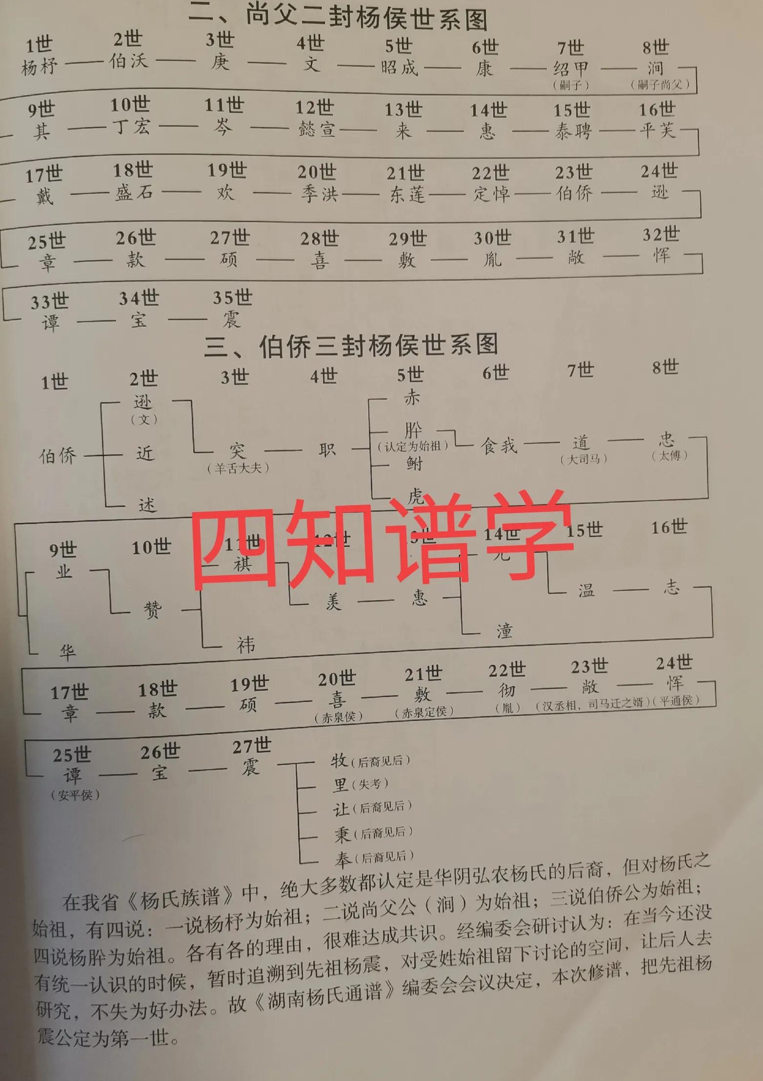 杨姓的起源简介,杨姓的起源和百家姓排行