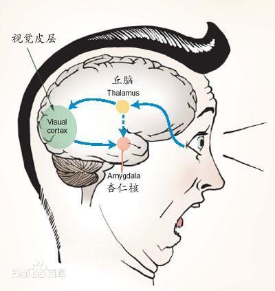 了解情绪的源头，你才能真正懂人性，才能真正调动聪颖
