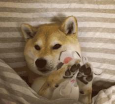 韩束新品升级在哪里,韩束亮肤型