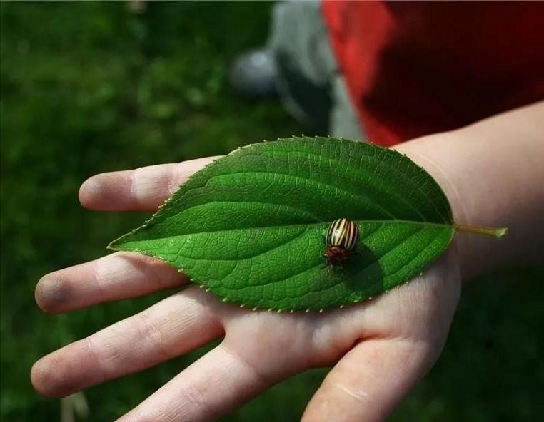 亲子安徽旅游,安徽儿童亲子游