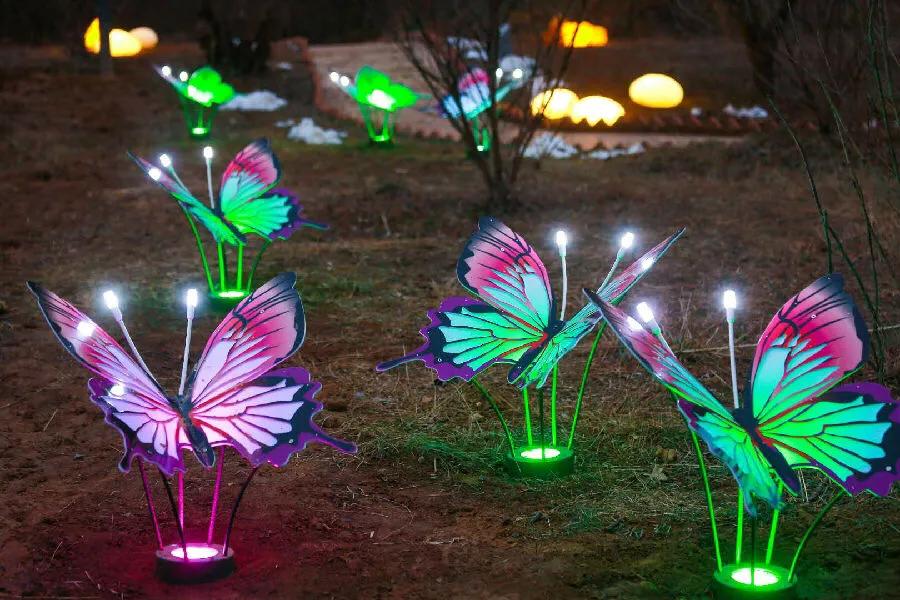 安心在家看视频,安心在家拍摄视频