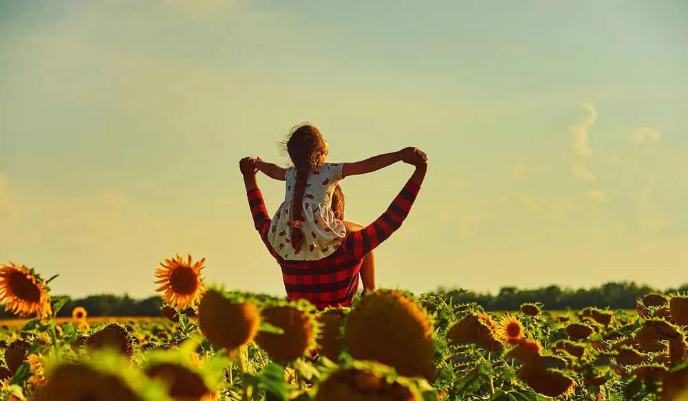 钟美美为什么离开学校,钟美美走红原因