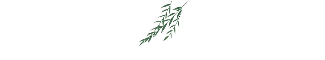 发现不一样的美丽风景,温州古镇丽水街