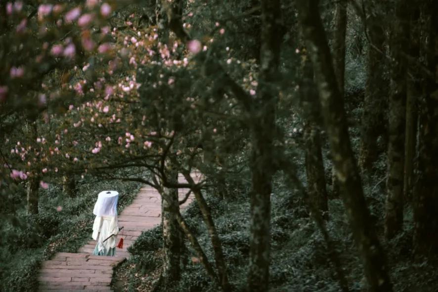 山顶云海自驾游,云海日出露营自驾游攻略