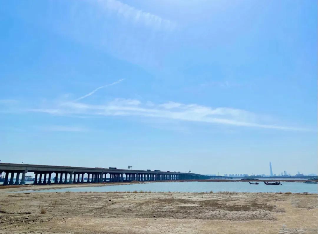 一个不出郑州的踏青好去处,天津春游公园推荐