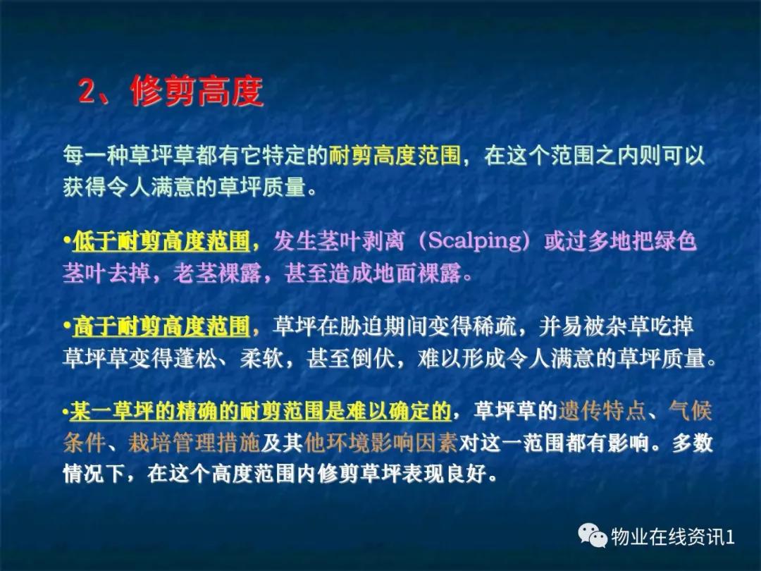 ppt草坪怎么制作,草坪养护管理实验报告