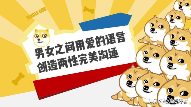 这篇文章适合转发给你的伴侣，表达爱你找到适合的方式了吗？