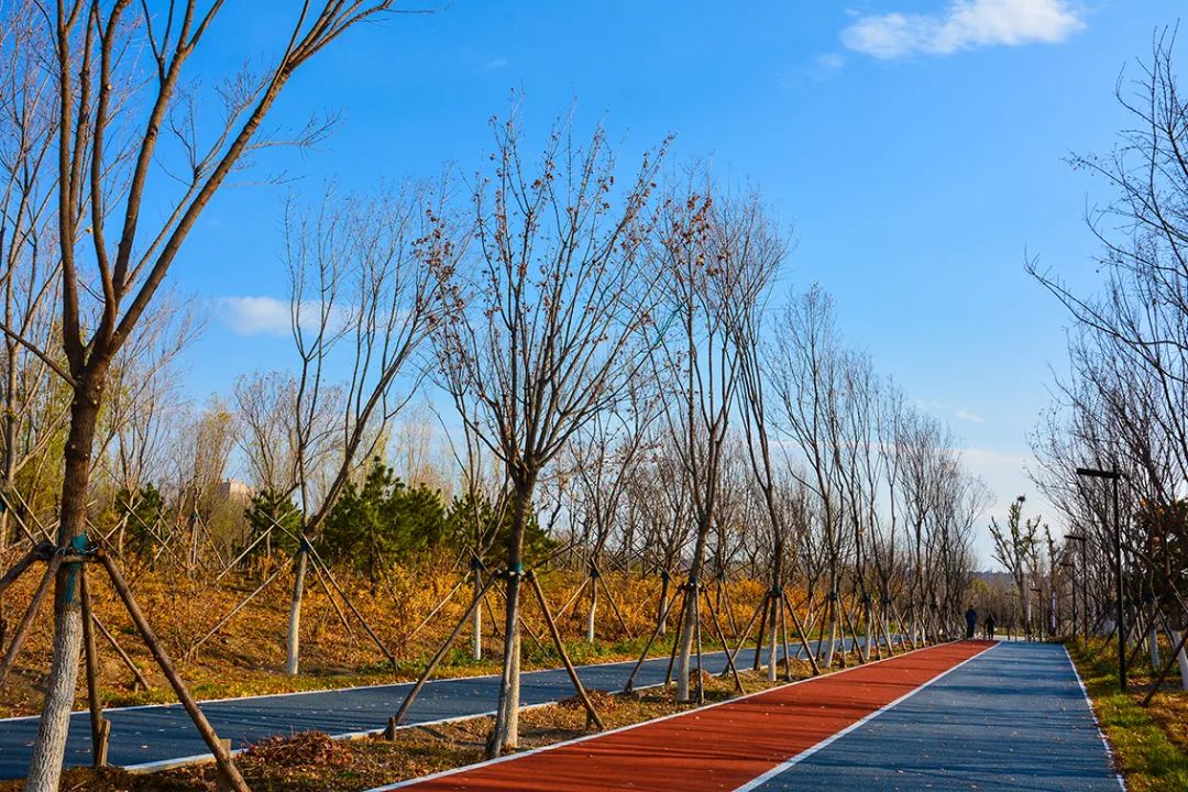 北京新开40个公园在哪里,北京十佳公园