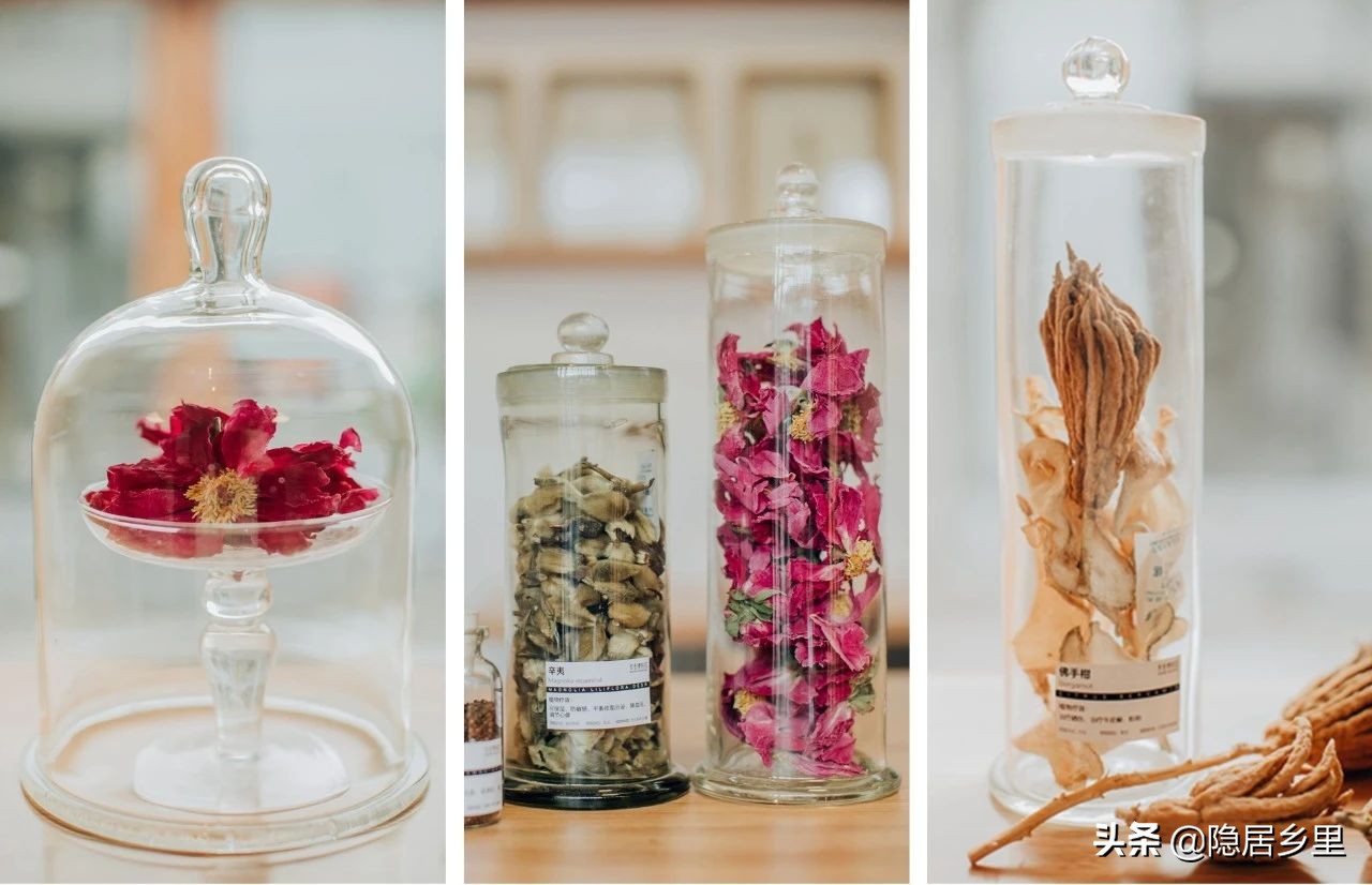 亲子京郊游红叶,国庆去北京看红叶攻略