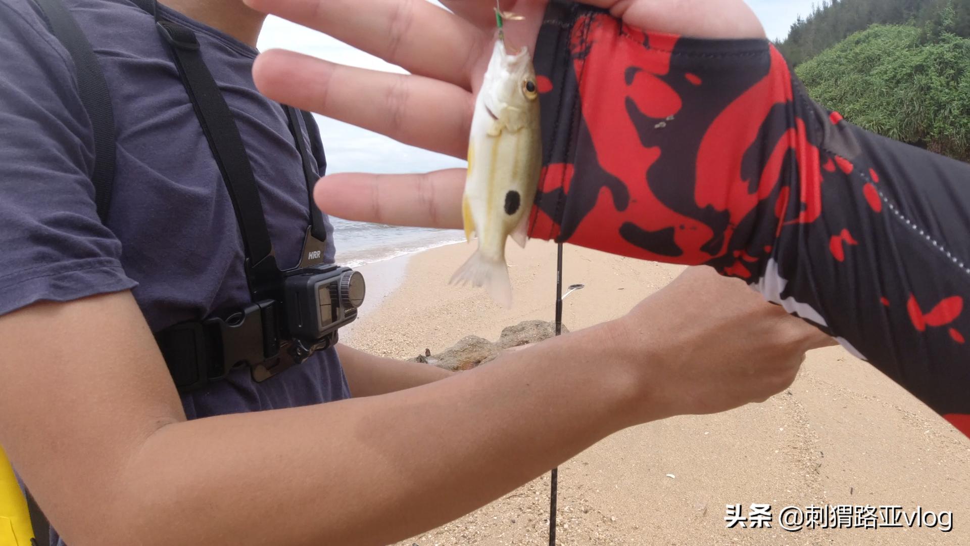 路亚钓海鱼视频,路亚钓鱼近岸小范围作钓攻略
