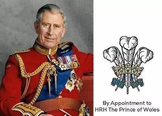 男士为什么胸针只能戴在左边,男士佩戴胸针有什么意义