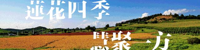 获奖作品广场舞大赛,莲花山杯全国摄影大赛