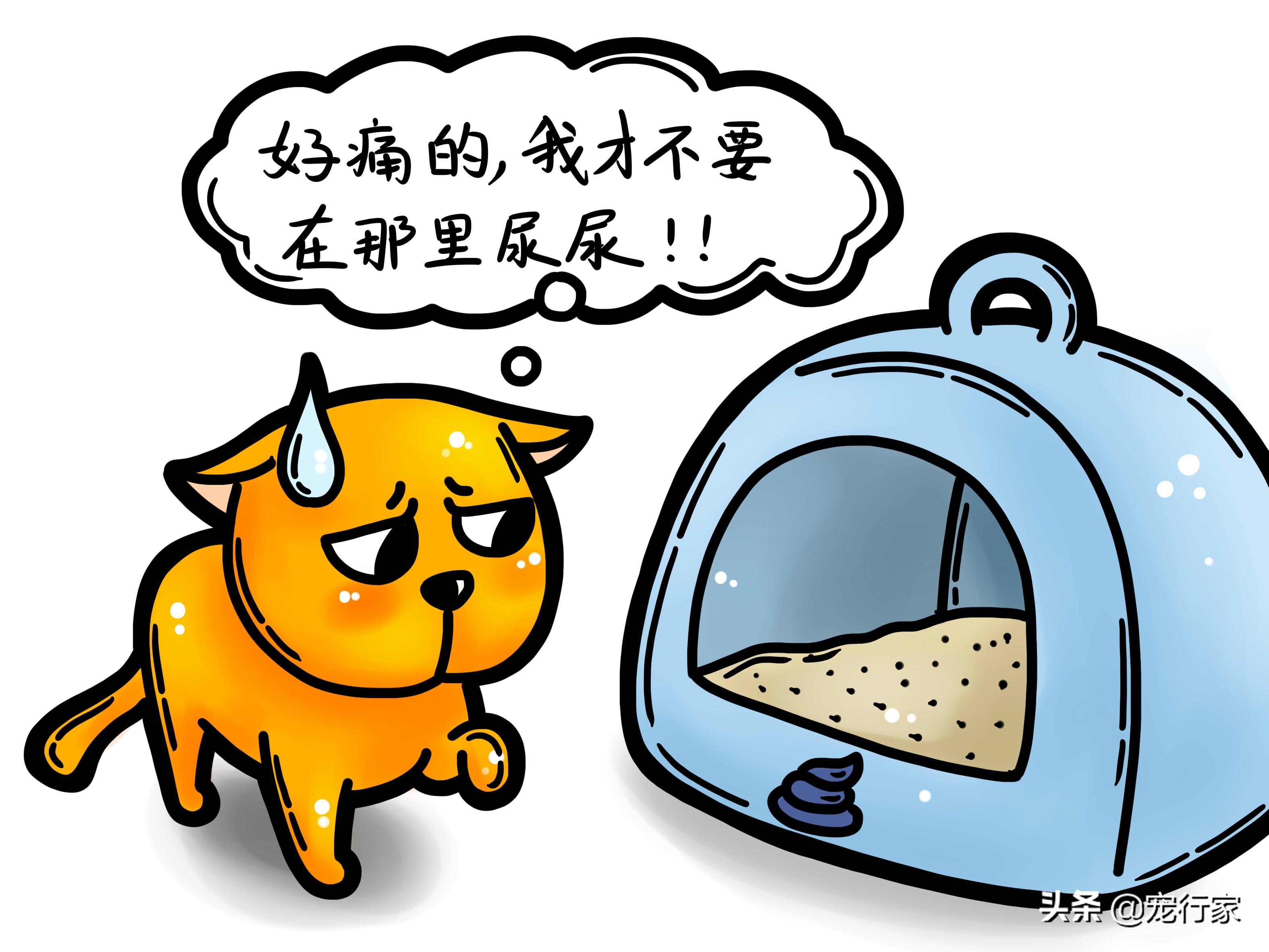 含水量多的食物可以帮猫咪预防膀胱炎！减少猫咪痛苦，节省医药费
