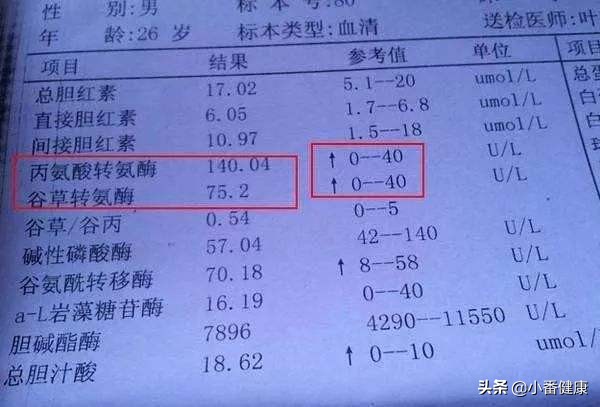 乙肝五项第5项阳性属于小三阳吗,乙肝小三阳乙肝五项数值怎么看