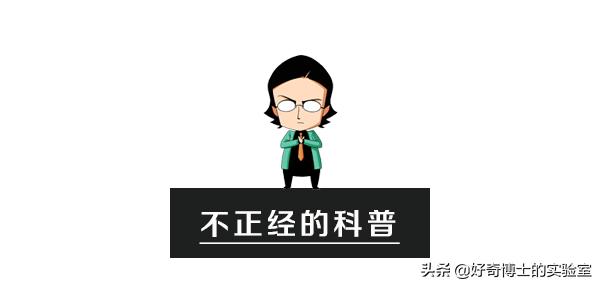 有哪些可以快速提升身材的小技巧,如何提升身材管理