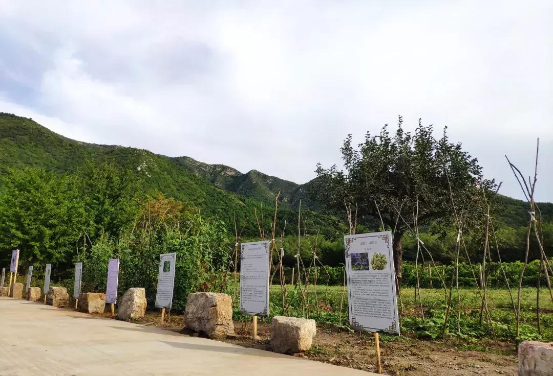 此生一定去要去的地方,此生一定要去这个地方