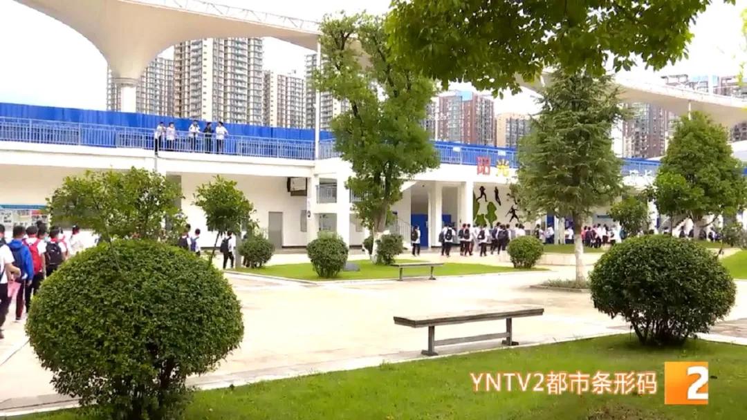 老师怎么才能不当班主任,当老师不当班主任是一种遗憾