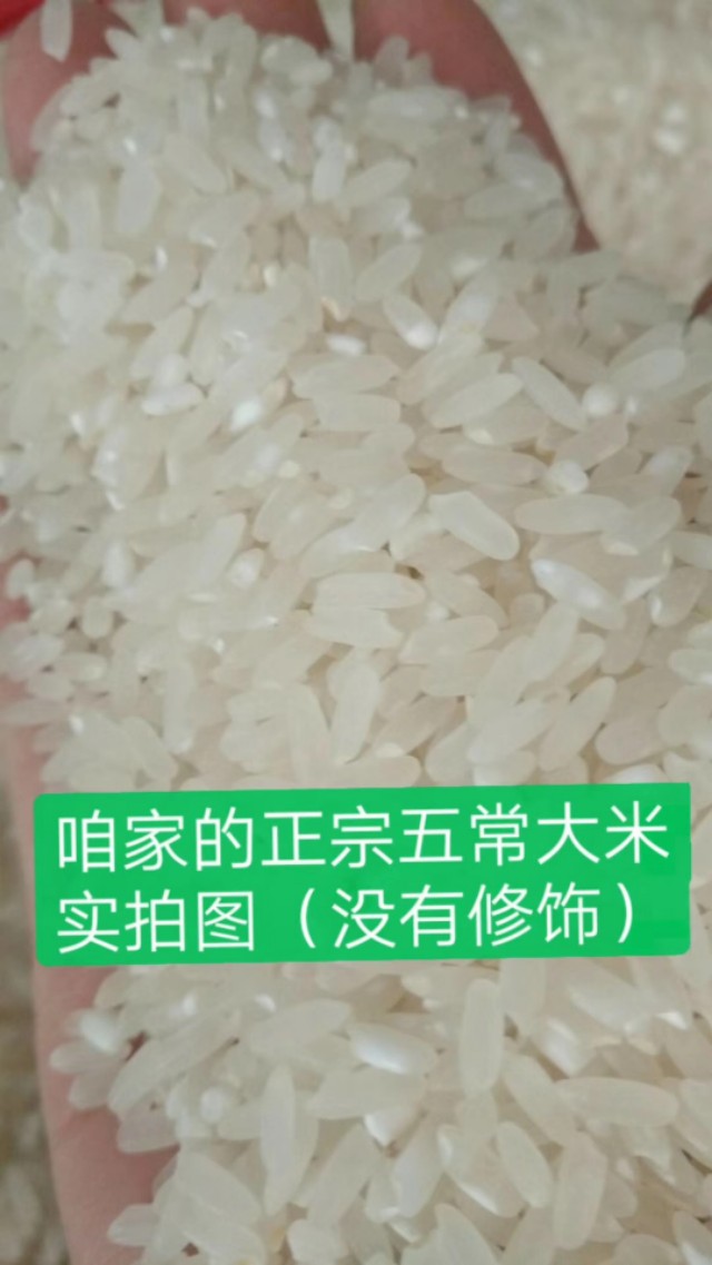 五常大米属于什么米种,五常大米怎么煮最好