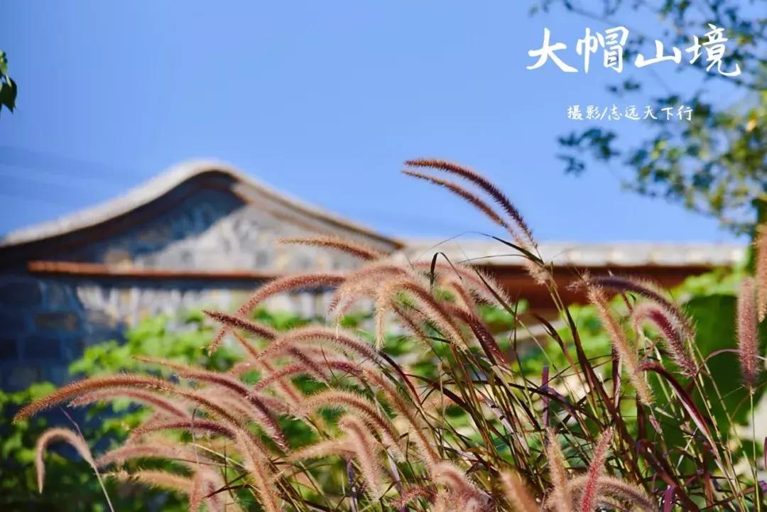 厦门那些你不知道的景点,厦门莫干山