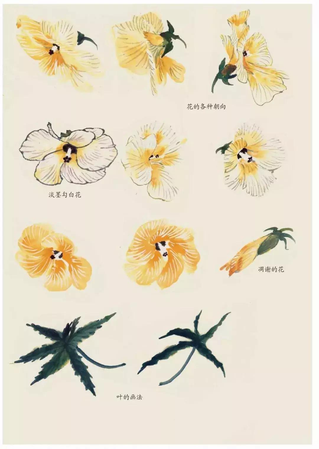 国画中各种花卉的画法,国画花卉画法步骤视频教程