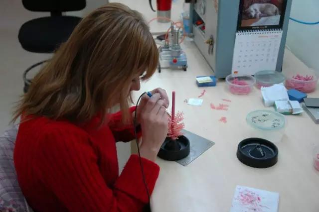 黄金首饰工厂全过程,黄金首饰加工详细教程