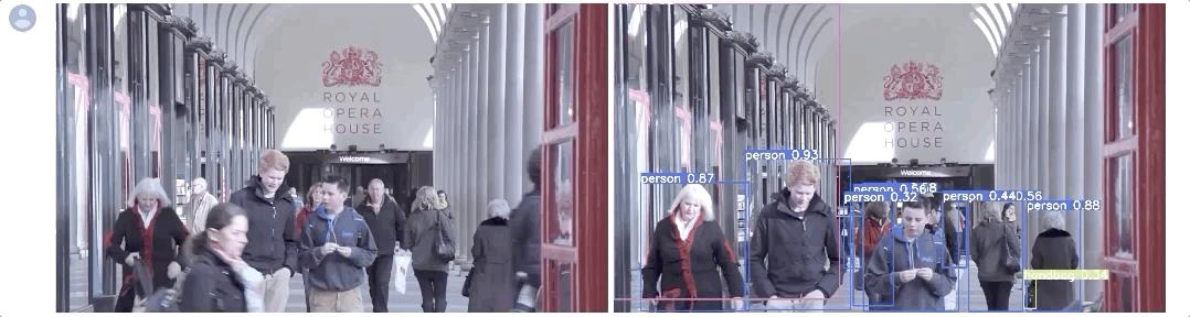 googlecolab插件被禁用,pytorchyolov3训练