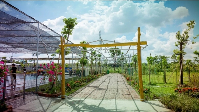 可以去玩的宠物乐园,1000平宠物乐园