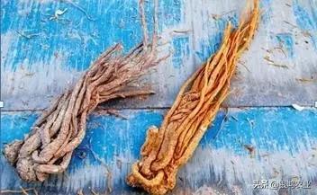 黄海波广西中医药,黄海波中医好吗