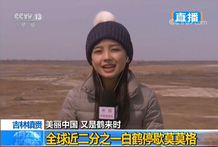 王冰冰庄晓莹张扬跳舞,央视记者庄晓莹和王冰冰